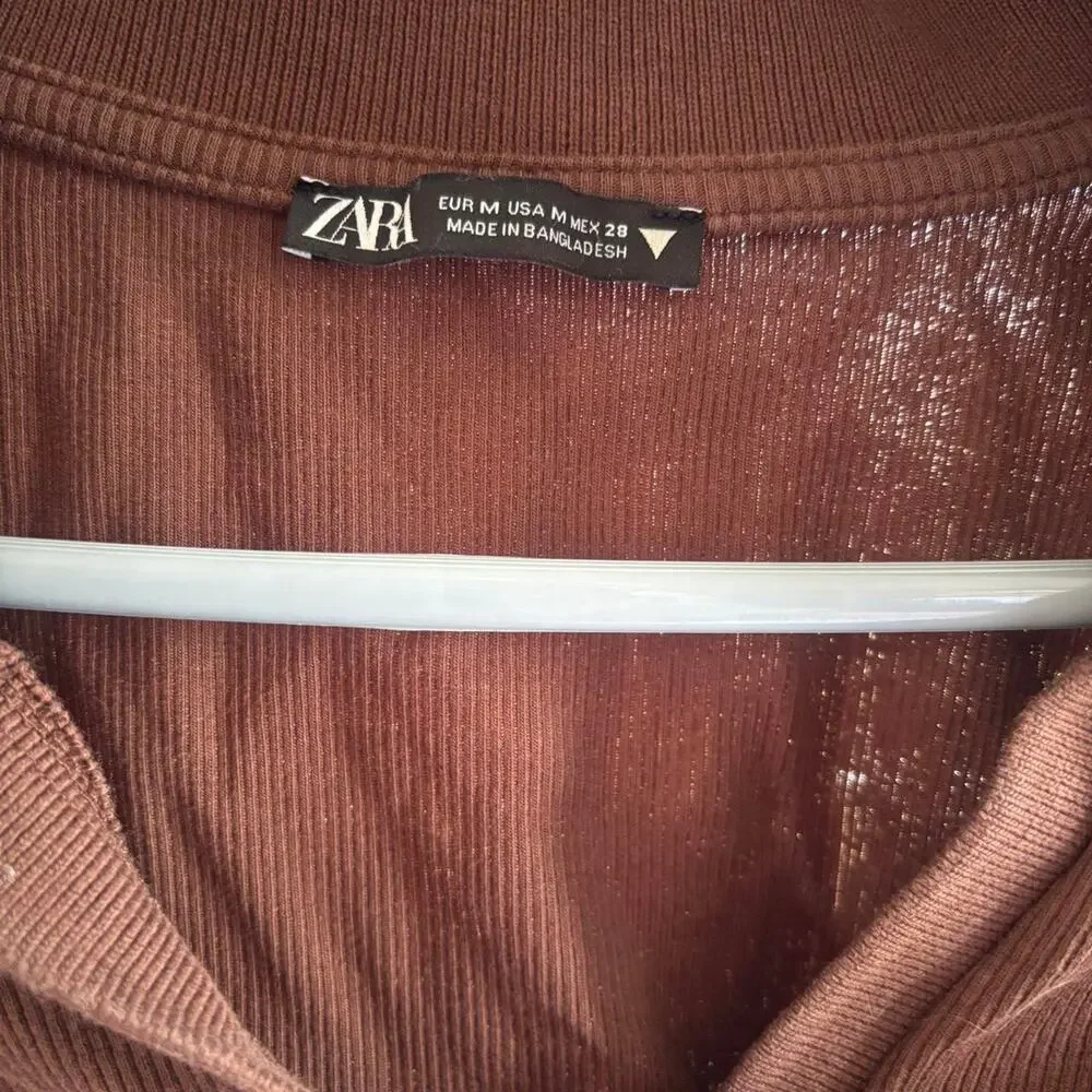 Zara brown long sleeve crop top